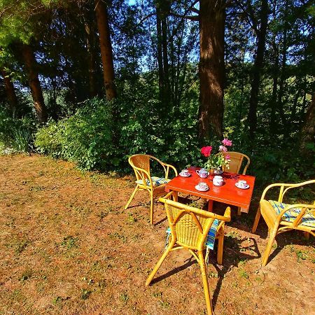 Kuca Za Odmor "Livadica" Villa Netretic Екстериор снимка