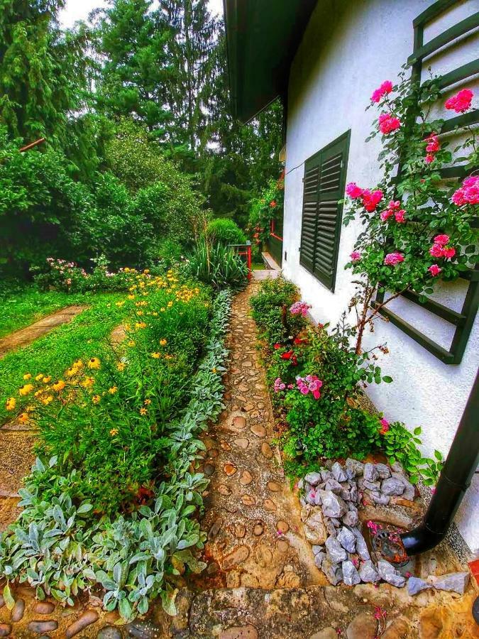 Kuca Za Odmor "Livadica" Villa Netretic Екстериор снимка